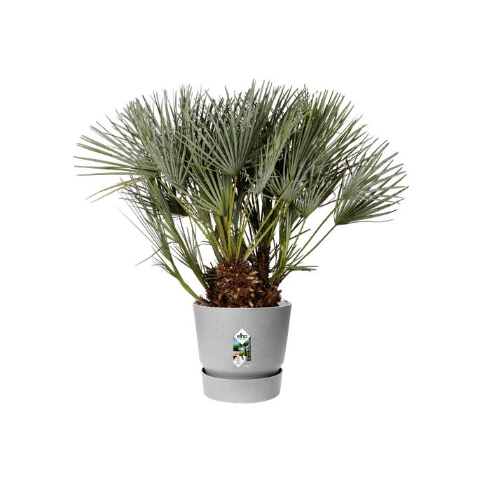 greenville round 40cm living concrete